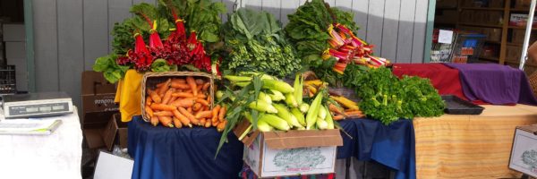 Farmers Market at the Food Bank